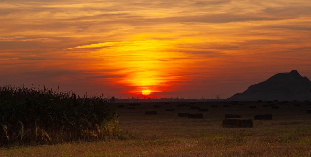Photograph by Диана Бородзе