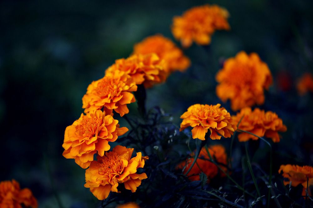 Фотография автора Татьяна Бабкина