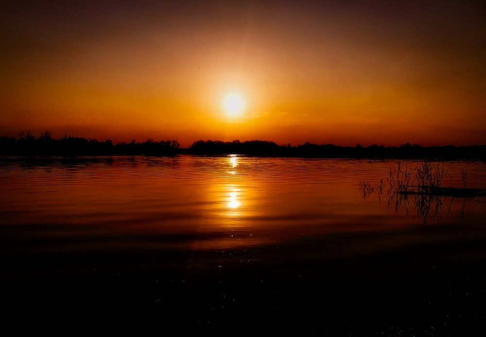 Photograph by Светлана Перминова