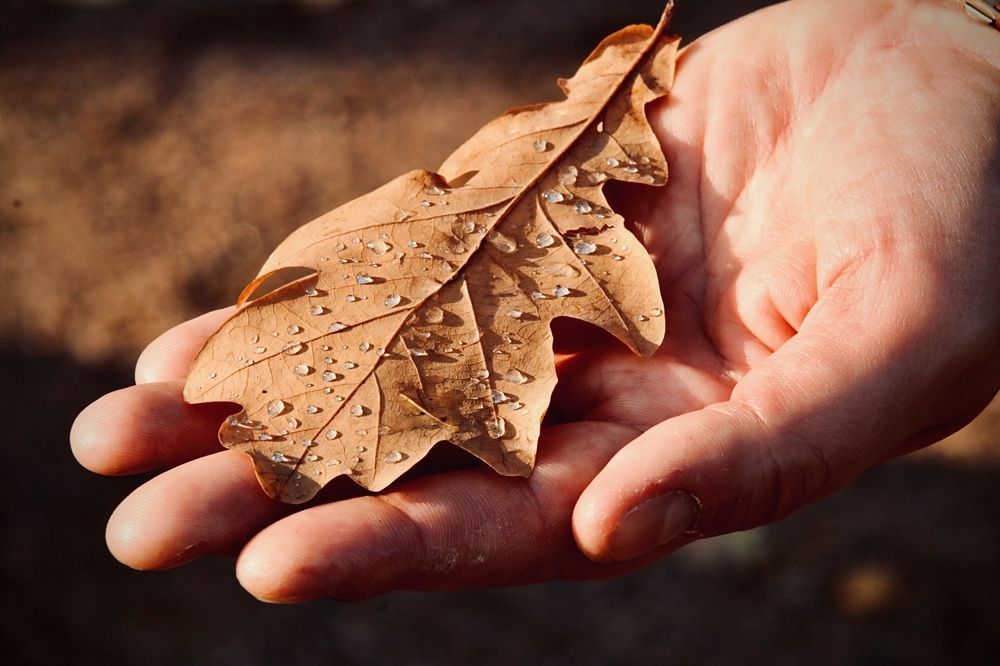 Photograph by Елена Ковалева