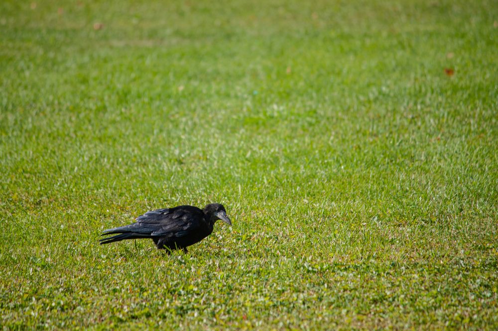 Photograph by Владислав Капанов