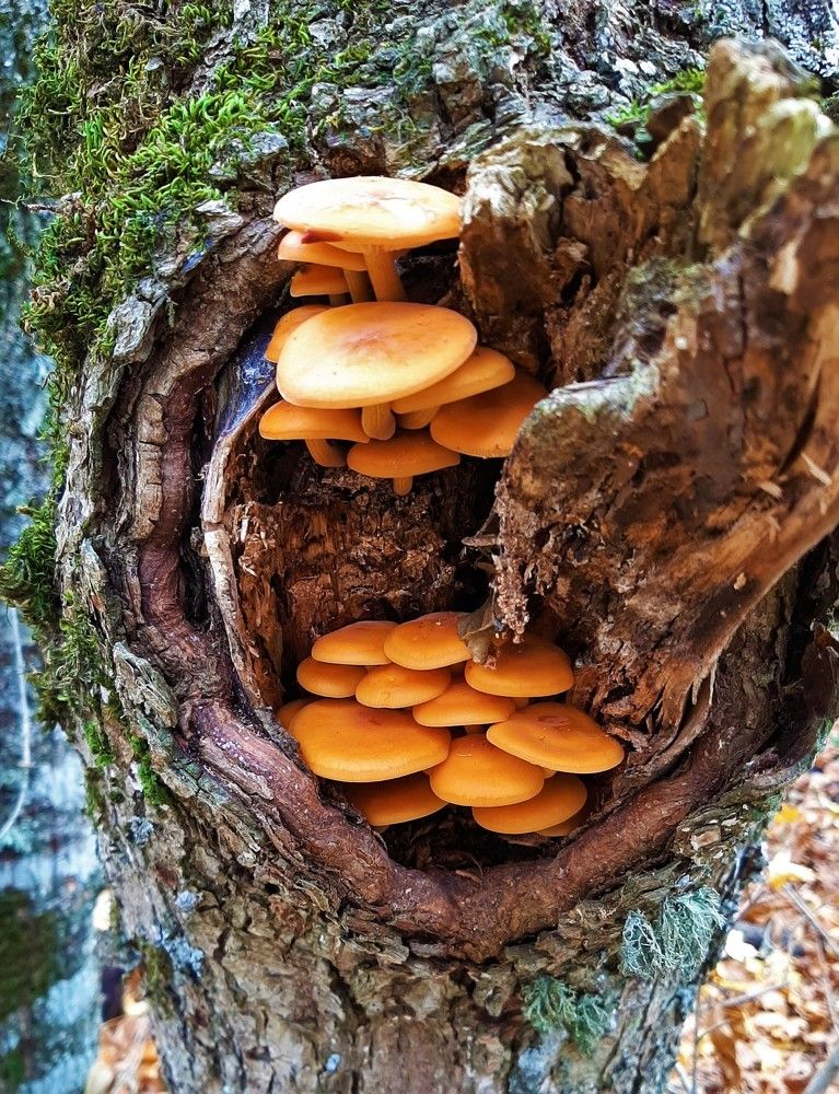 Photograph by Галина Глазкова