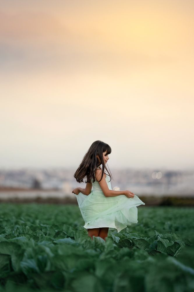 Photograph by Liraz Carmeli