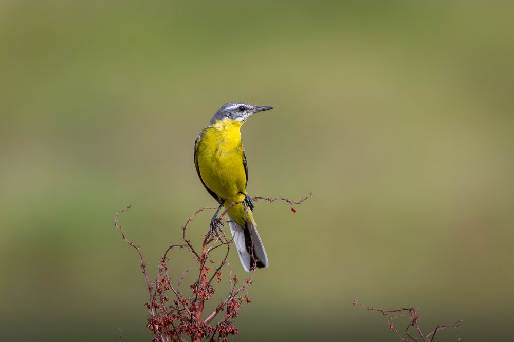 Photograph by Антон Науменко