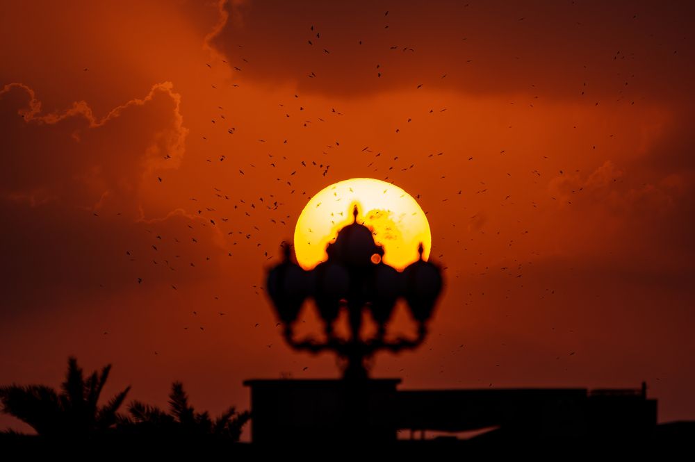 Solar Elegance: Street Lamp Embraces the Sunset