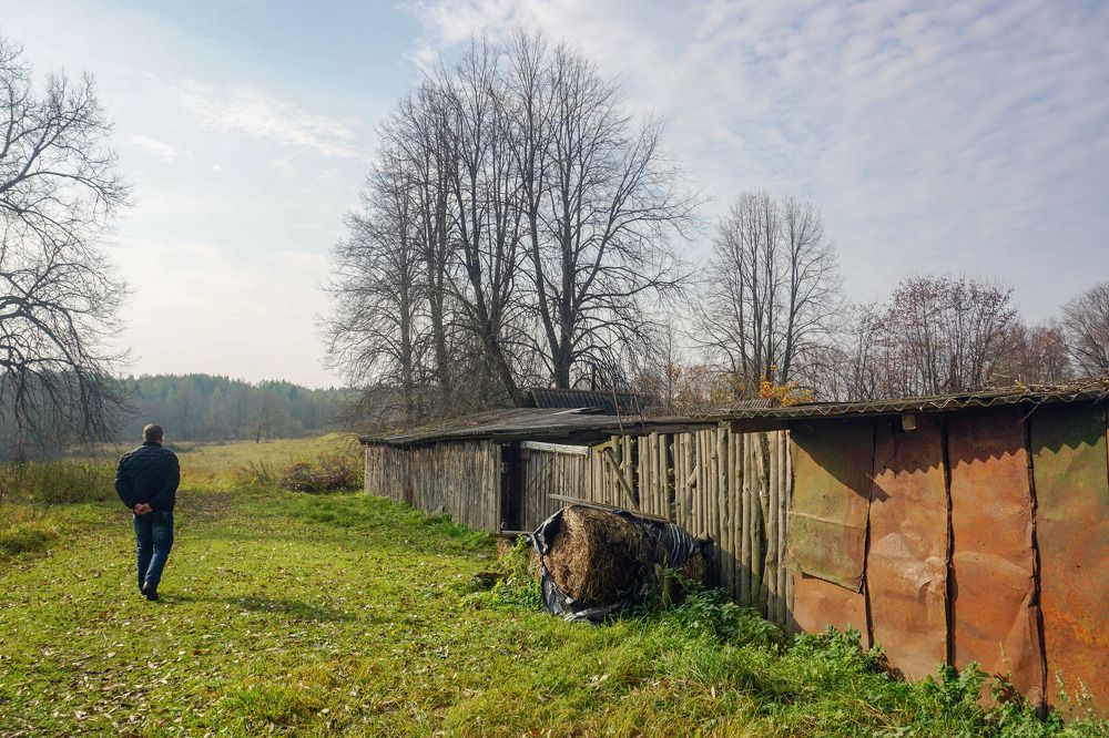 Photograph by Елена Никонова