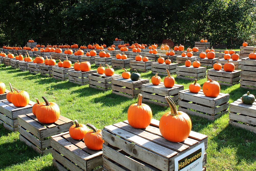 Photograph by Диана Ульянцева