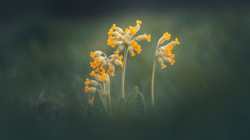 Photograph by Мозжухин Максим