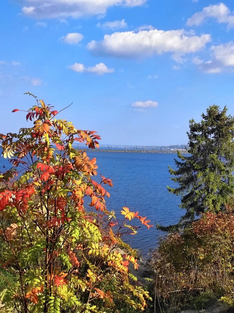 Photograph by Надежда