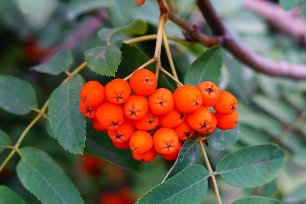 Photograph by Александр Кизим