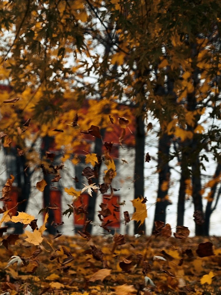 Photograph by Аnna Pashkova