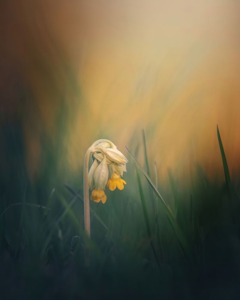 Photograph by Мозжухин Максим