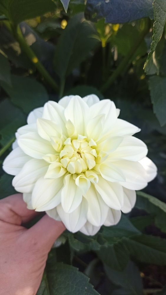 Photograph by Екатерина Сочнева