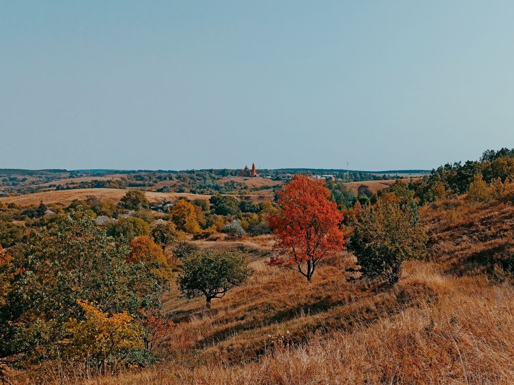 Фотография автора Иван