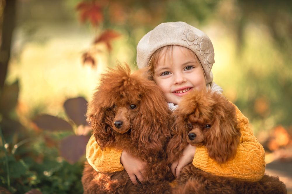 Photograph by Козел Марта