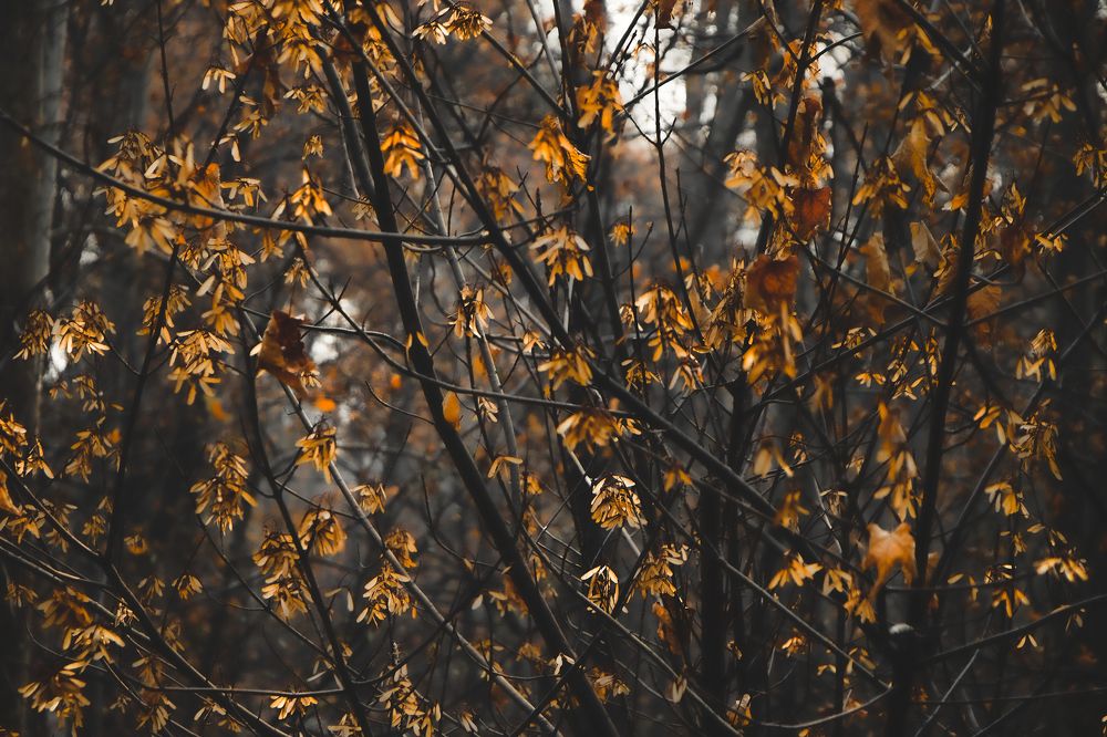 Photograph by Amir Reza Ramezani