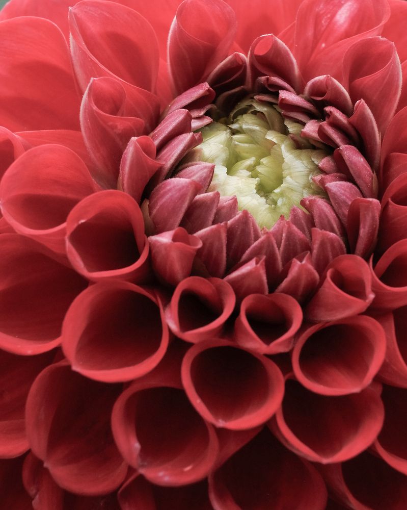 Photograph by Greg Noakes