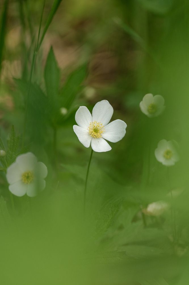 Photograph by Greg Noakes