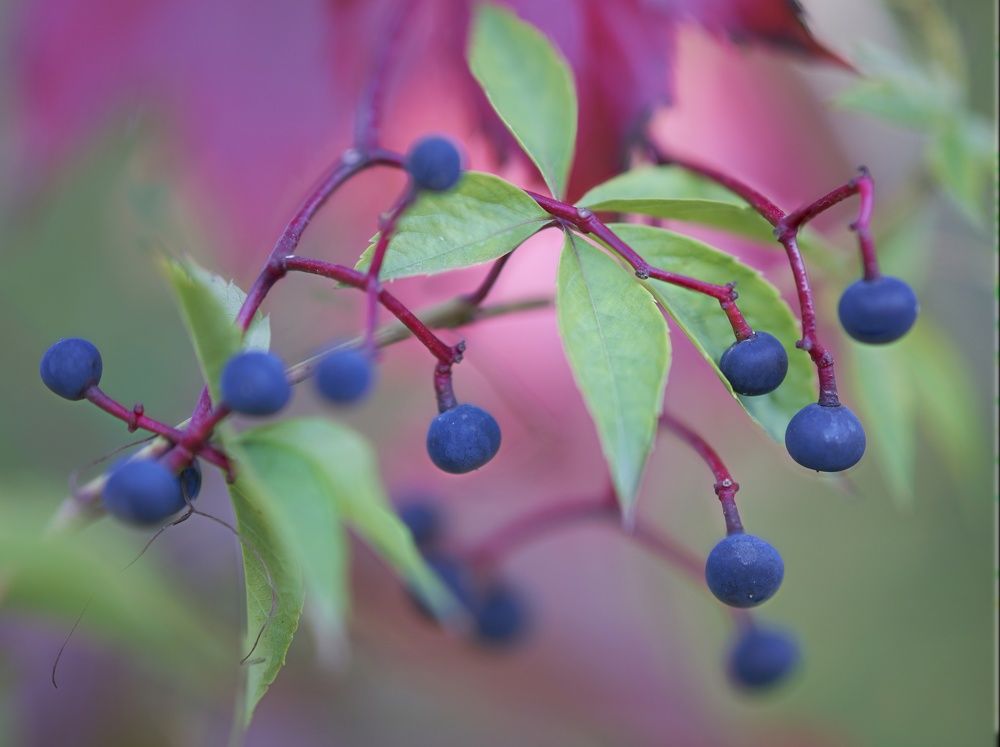 Photograph by Игорь Зиновьев