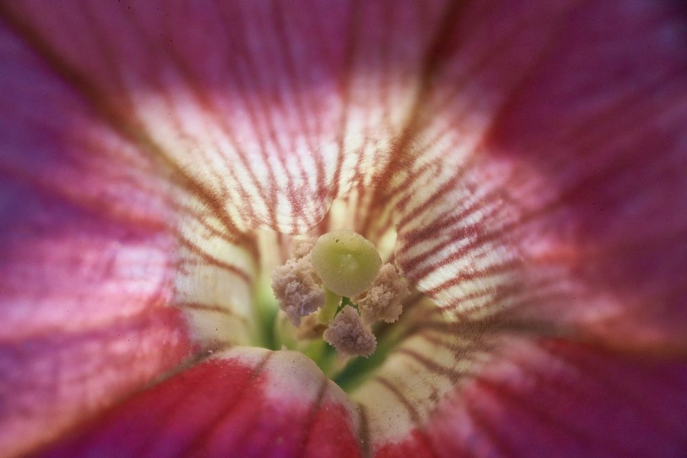 Photograph by Игорь Зиновьев