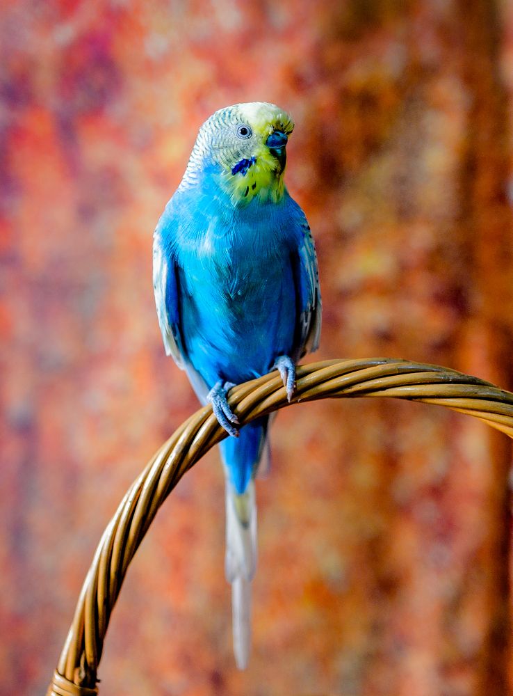 Photograph by Елена Куртеева