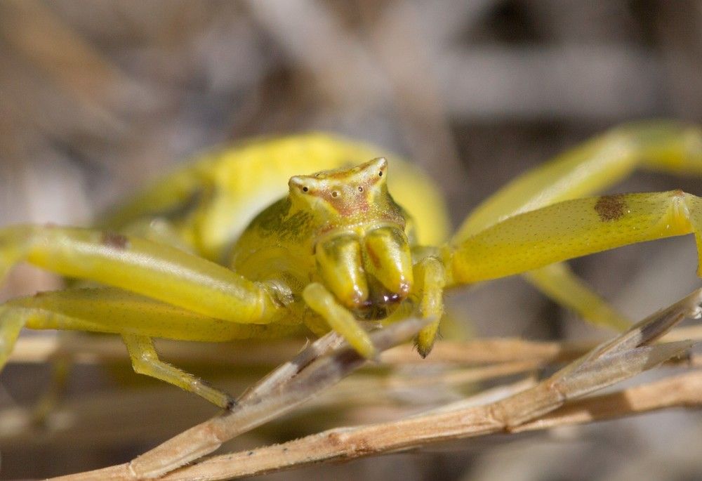 Photograph by Natalya Snegovaya