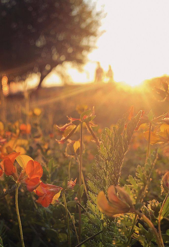 Photograph by Daria Ezuma