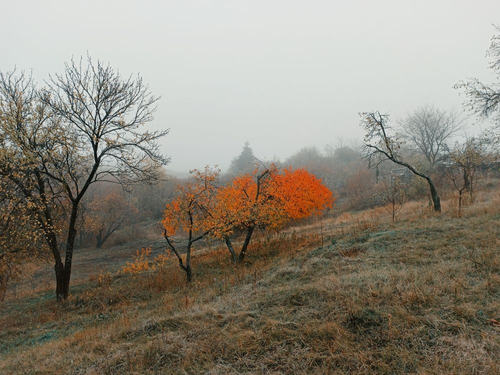 Фотография автора Иван