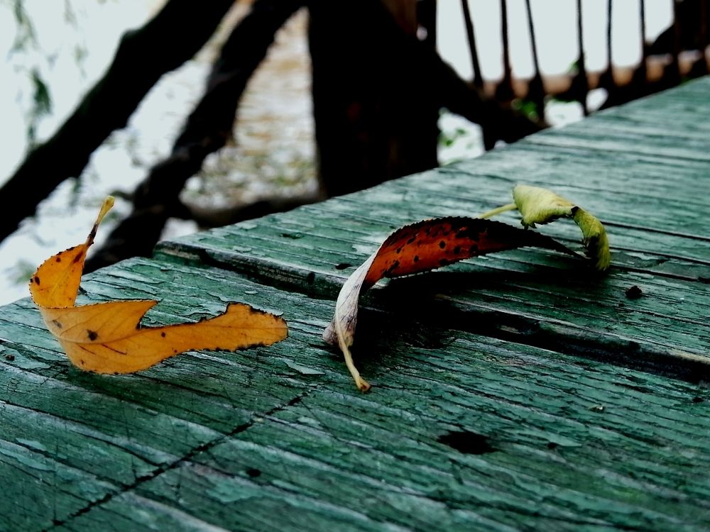 Photograph by Jelena Žarevac