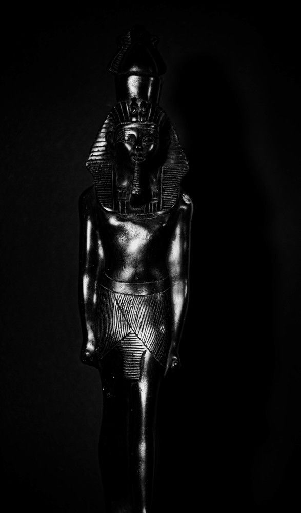 Фотография автора Aлексей Игнатьев