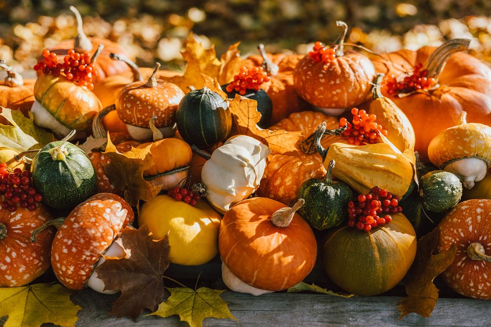 Photograph by Марина Багрова