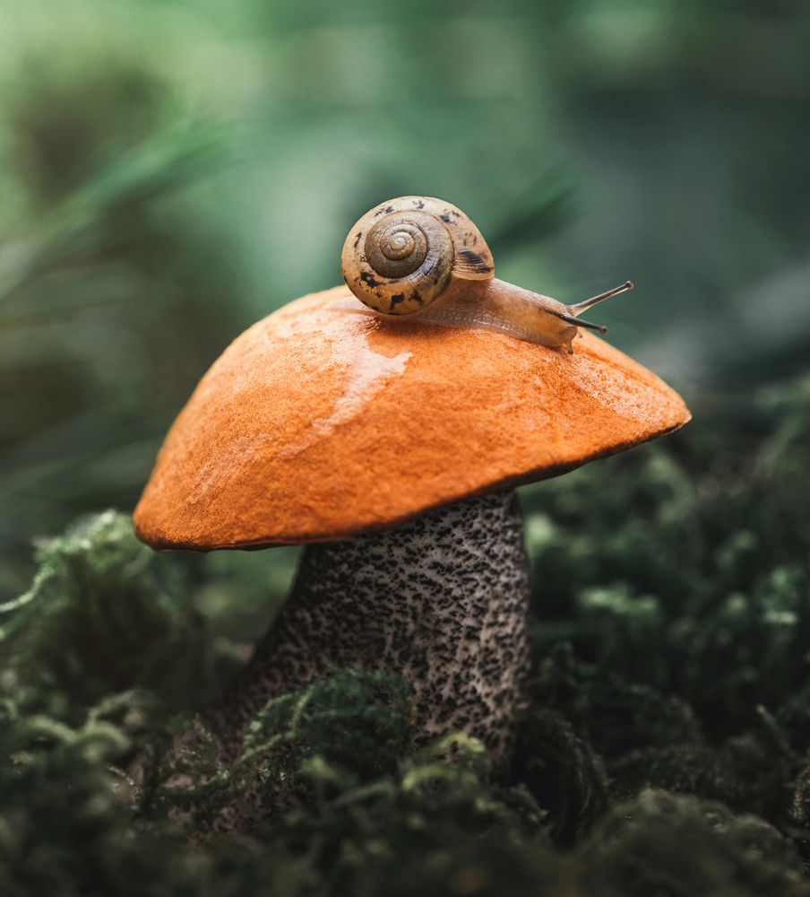 Photograph by Марина Багрова