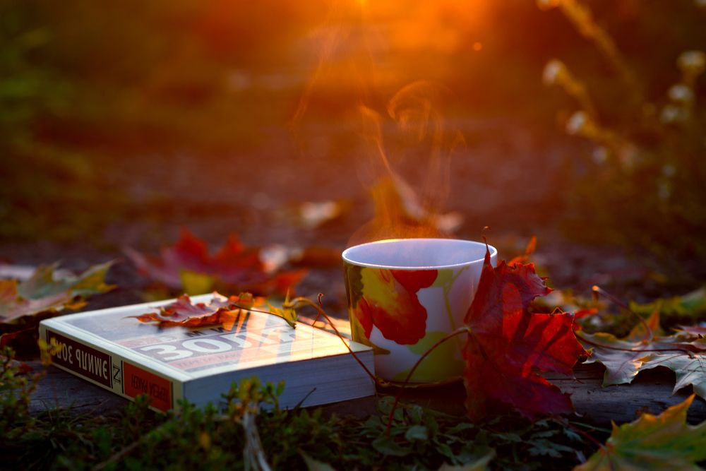 Photograph by Марина Мирошникова