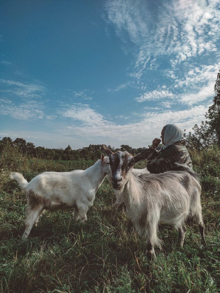 Photograph by Евгений Белов