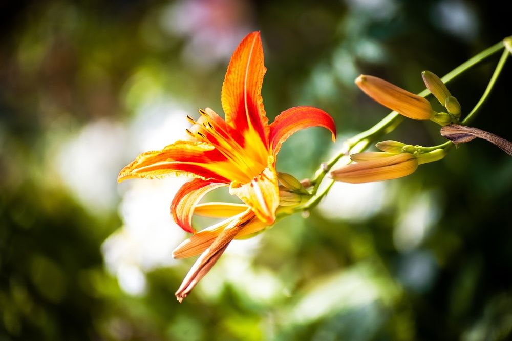 Photograph by Алексей Патрушев