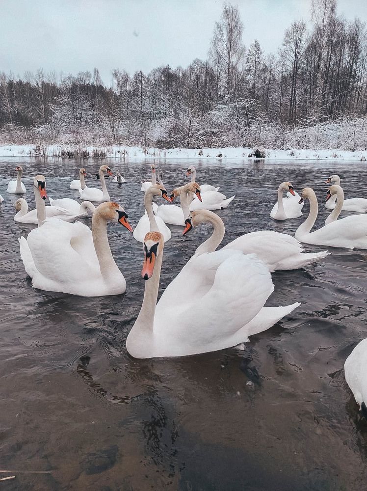 Photograph by Евгений Белов