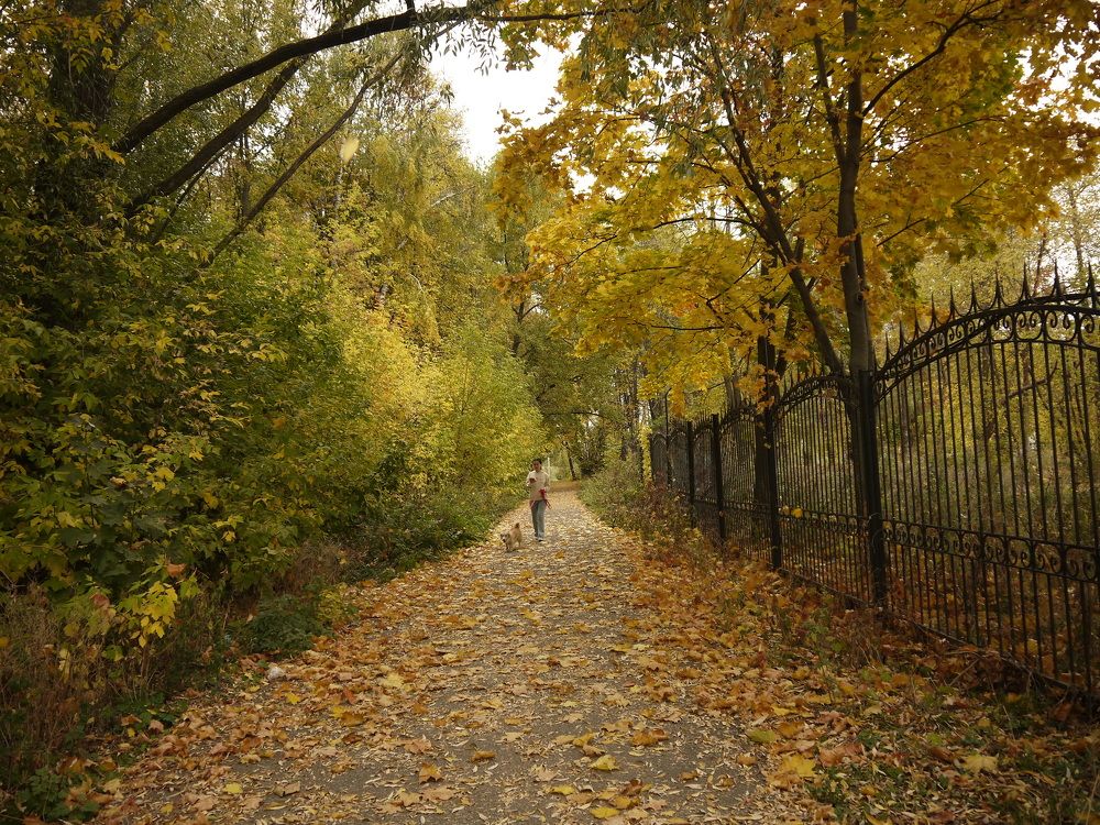 Фотография автора Клавдия Васильева