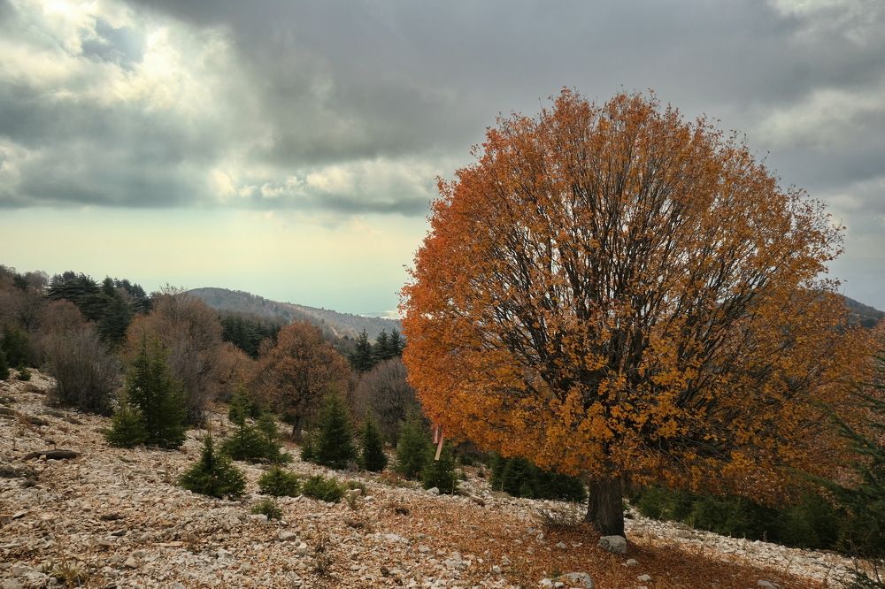 Photograph by Виктор Чернышов