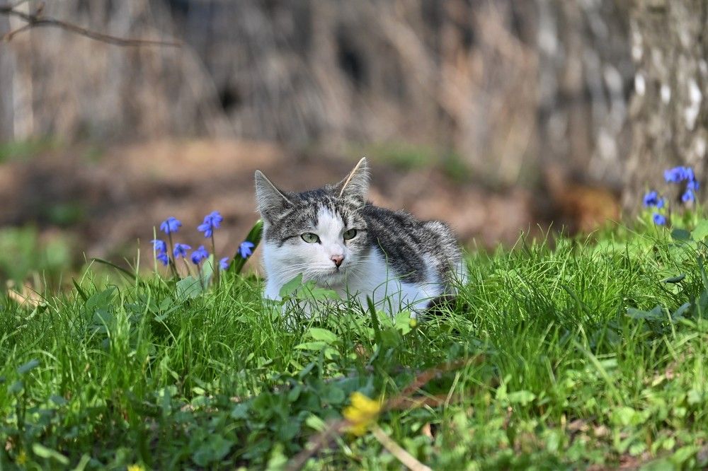 Фотография автора IRINA FILIPPOVA