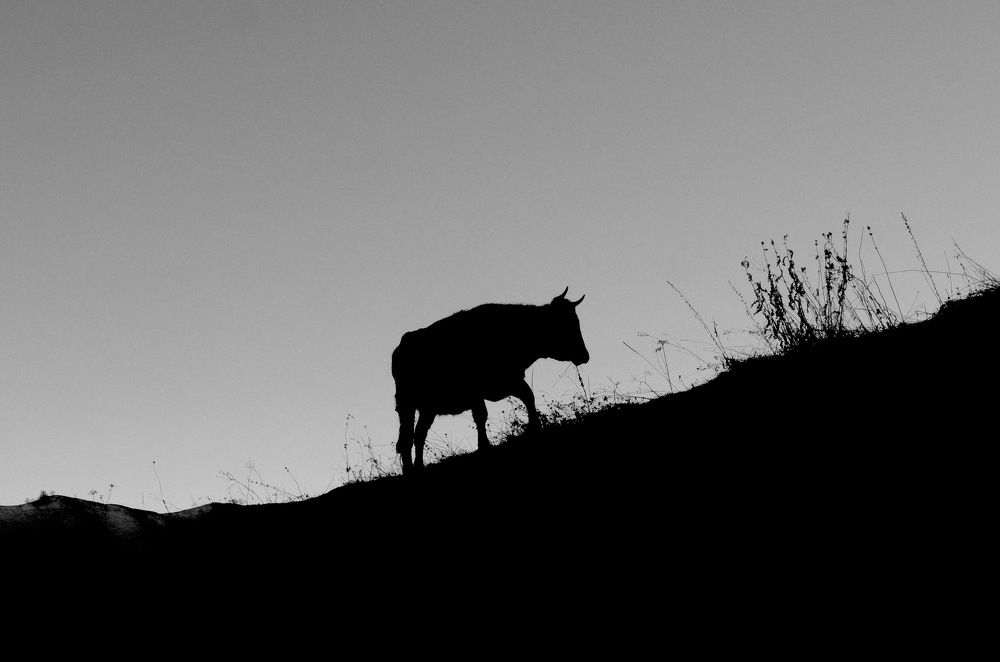 Photograph by Виктор Чернышов