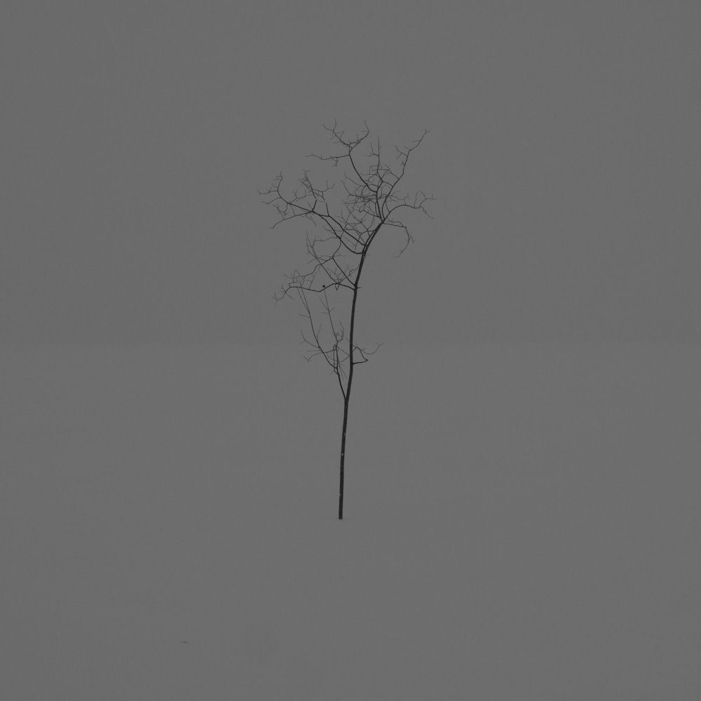 Photograph by Виктор Чернышов