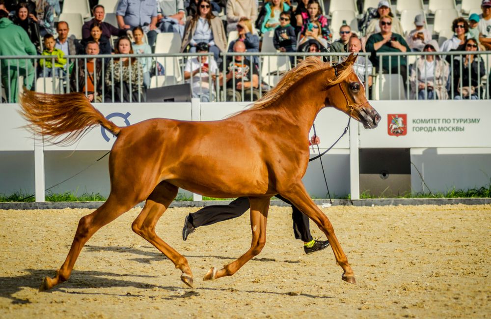 Photograph by Ольга Заповедная