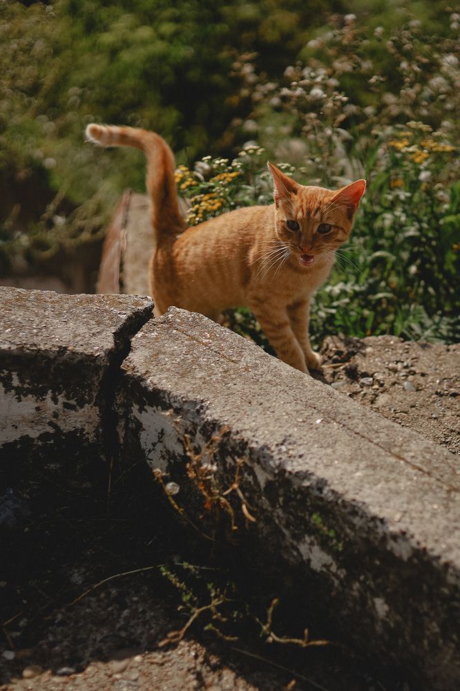 Photograph by Марина Слепова