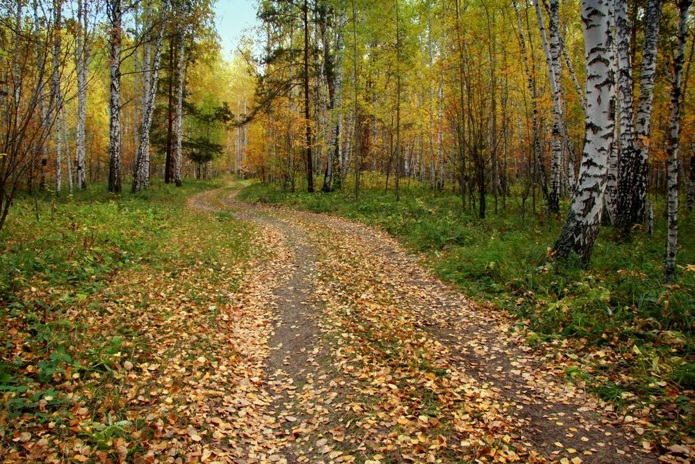 Фотография автора Nelya  Lysenko