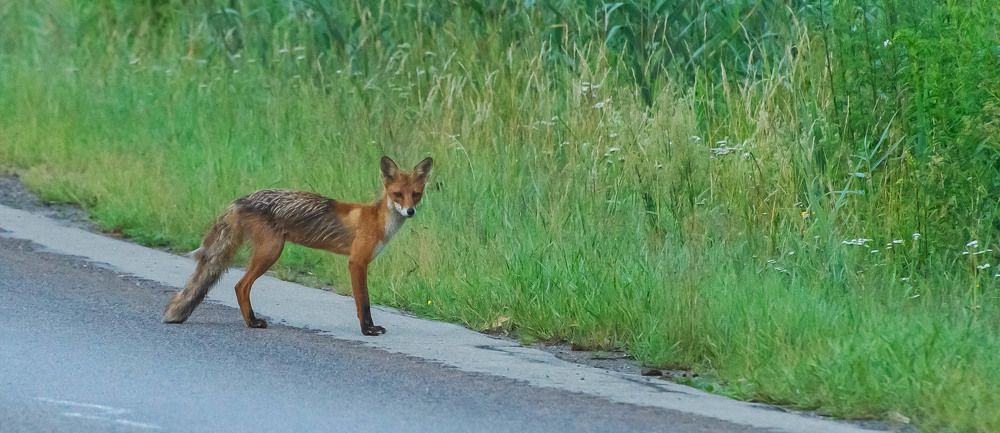 Фотография автора Aлексей Игнатьев