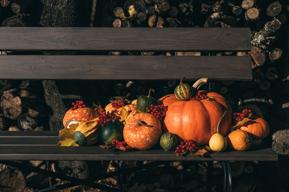 Photograph by Марина Багрова