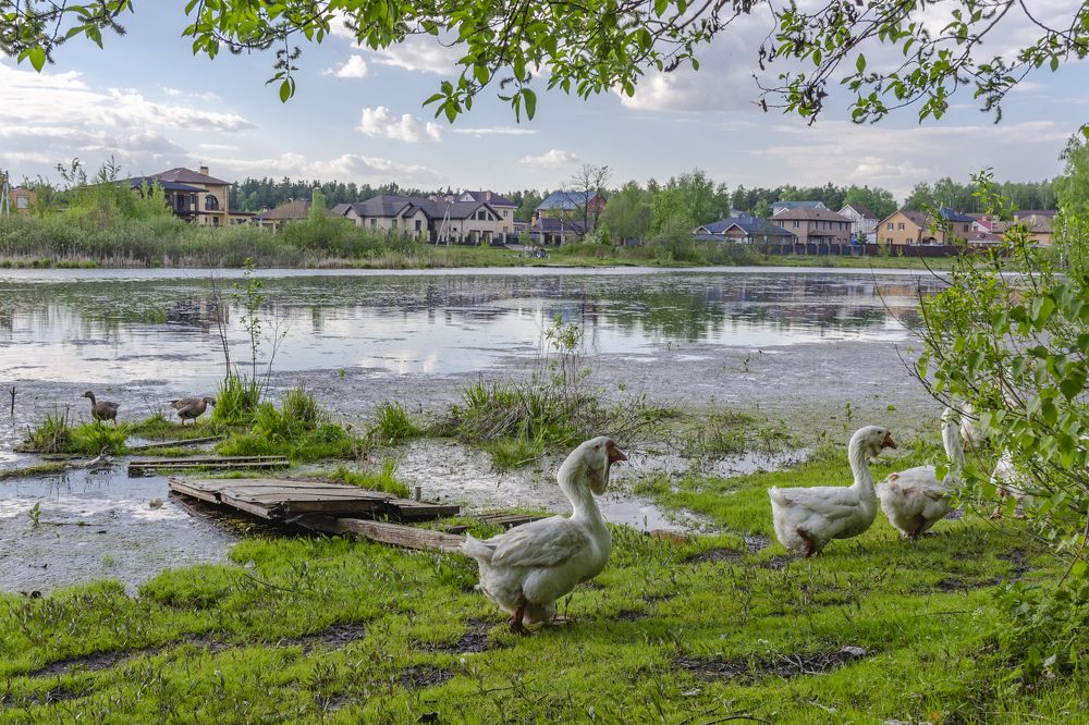 Photograph by Игорь Грашин