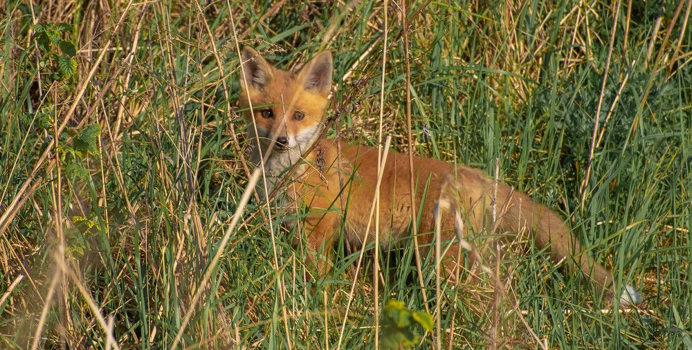 Фотография автора Aлексей Игнатьев