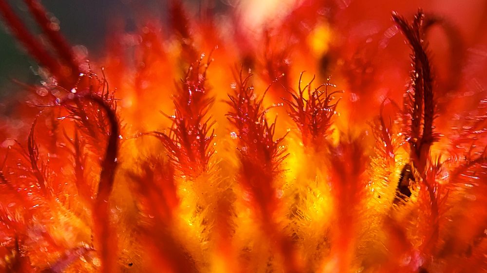 Photograph by Evgenia Korchagova