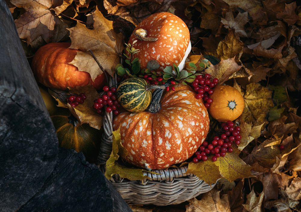 Photograph by Марина Багрова